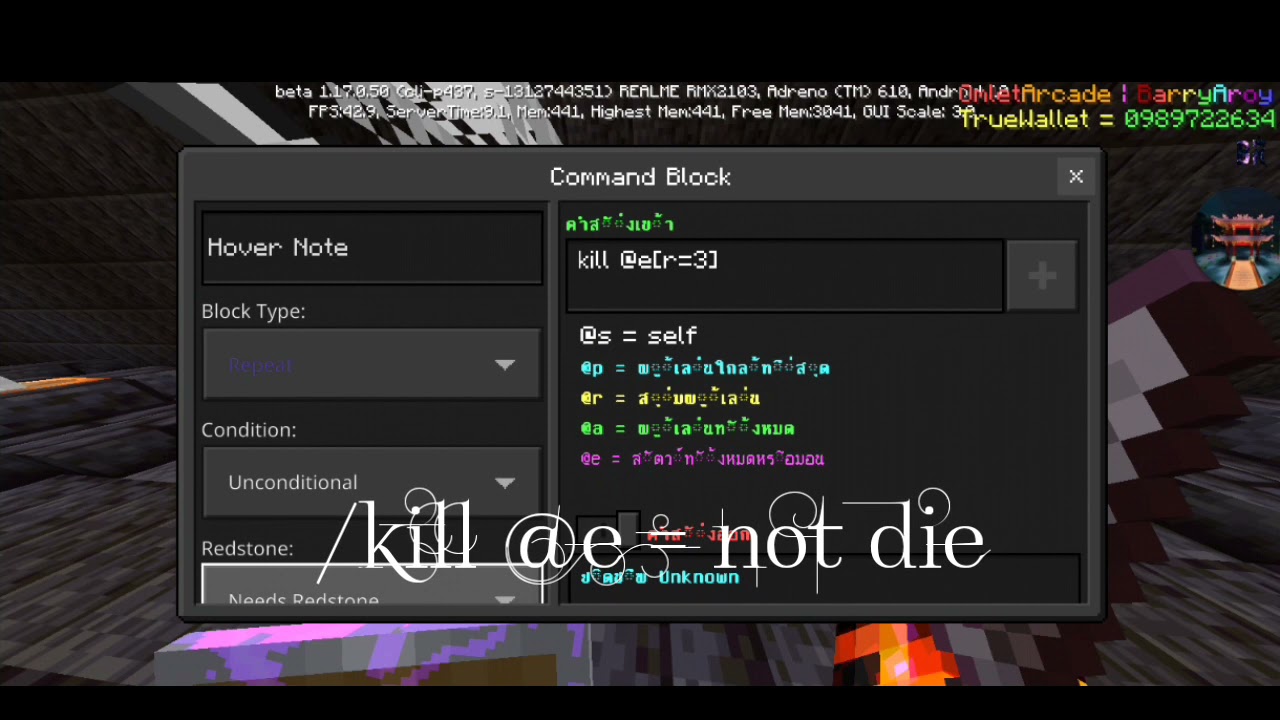 Invincible Dummy [1.14-1.21+]