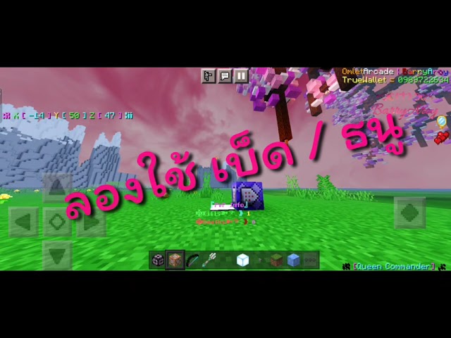 ซ่อนของที่ถืออยู่ (1.21+)
